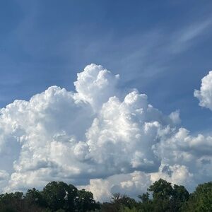 NO SELLING!!!! (Question)